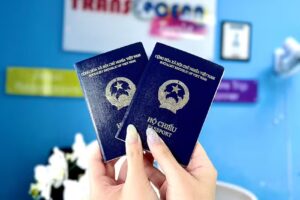 TRANSOCEAN Vietnam Travel Pro