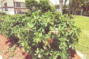 Travel A Lot Services