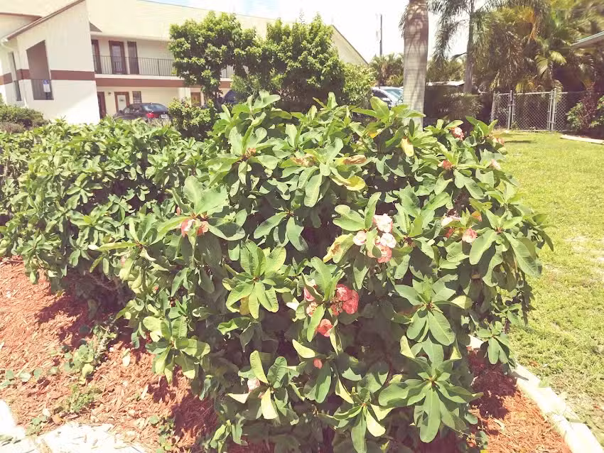 Travel A Lot Services