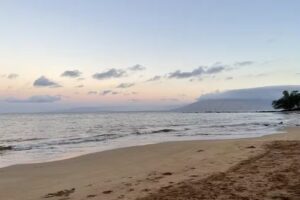 Travel Agency Burbank – Trip Radian