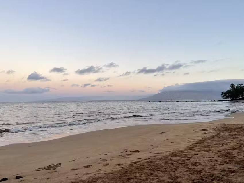 Travel Agency Burbank – Trip Radian