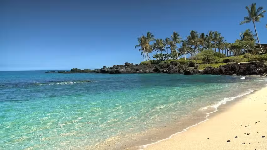 Travel Agents of Frisco