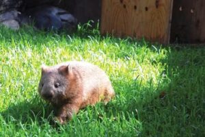 Travel Answers Group