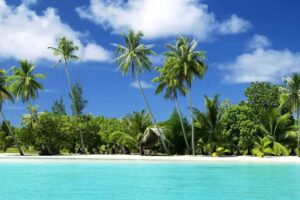 Travel Connections & Cruises Limited