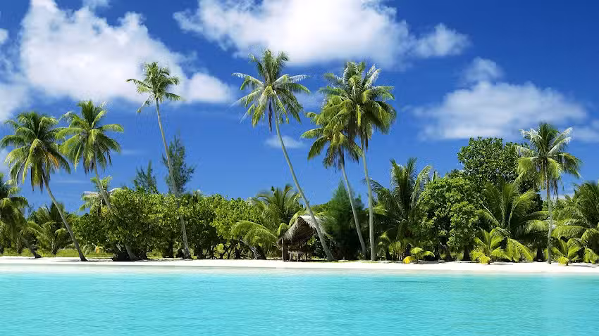 Travel Connections & Cruises Limited