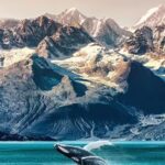 Travel & Cruise Desk