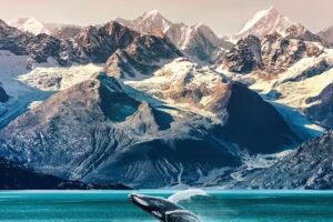 Travel & Cruise Desk