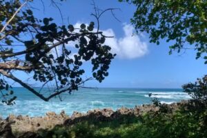 Travel Designs by Treva