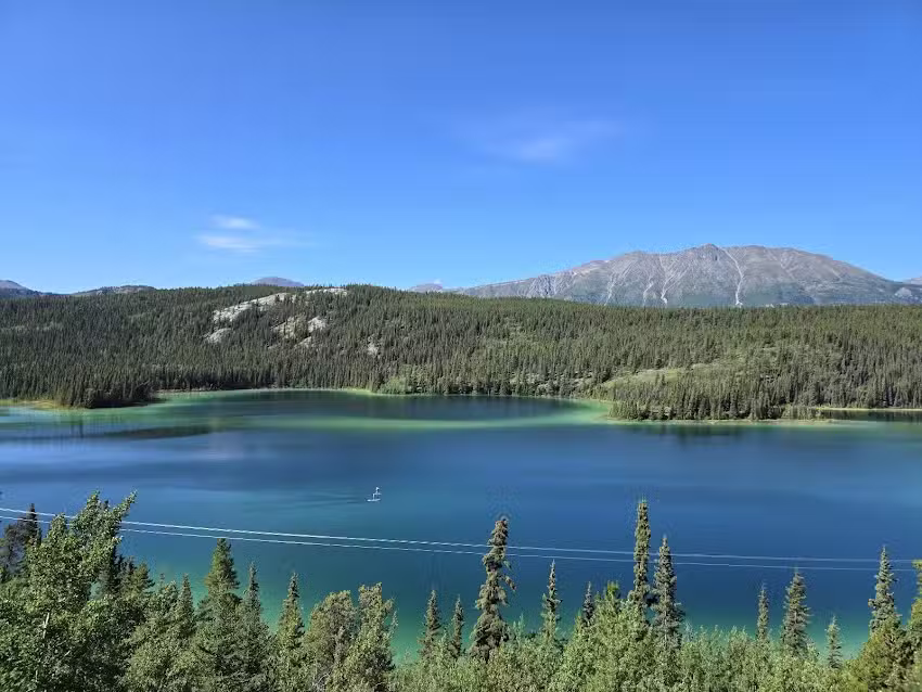 Travel Dreamz Travel Agency