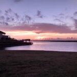 Travel Management, Inc.