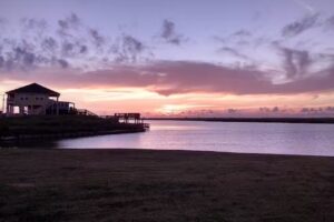 Travel Management, Inc.