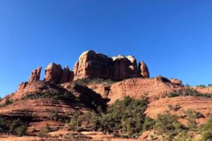 Travel Professionals International