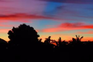 Travel & Trips Agency