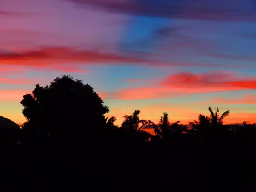 Travel & Trips Agency