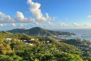 Travel with Tiffany Agency