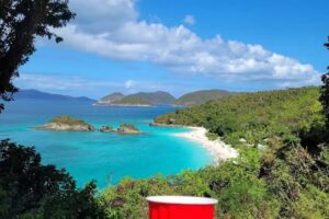 Traveling Cup Adventures