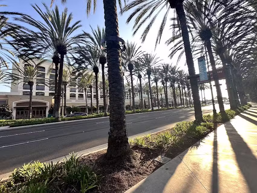 Traveling North Agency