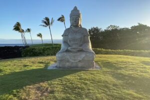 Traveling Sea Turtle