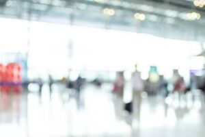 Travelwise International Inc