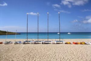 TravElyse Cruise & Tours