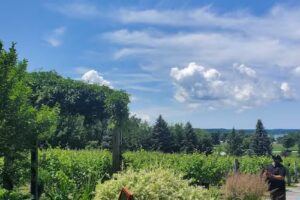 Traverse City Wine & Beer Tours