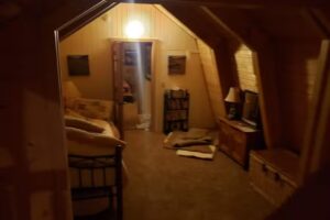 Trekadoo Spruce Street Cabin