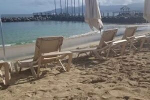 Trendy Travels by Nicole & Associates – Dream Vacations