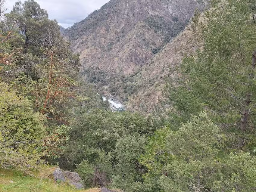 Trinity River Rafting