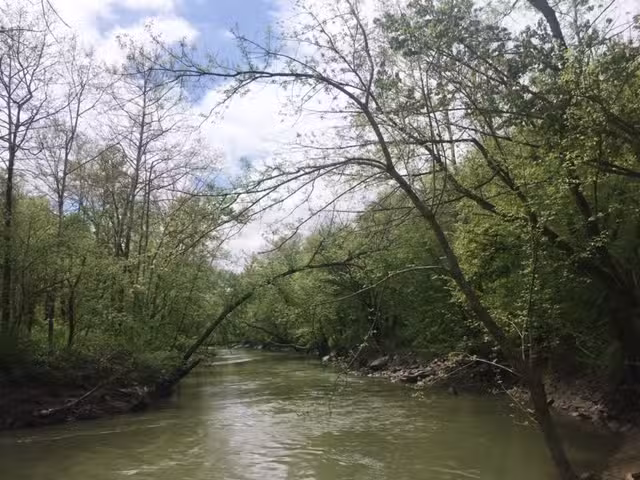 Triplett Creek Cabin Rental