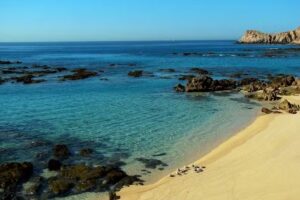 Trisha Graham Travel