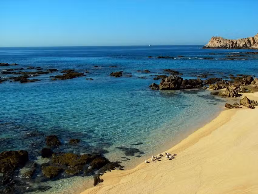 Trisha Graham Travel