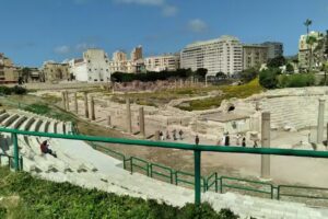 Tropical Tours and Travel