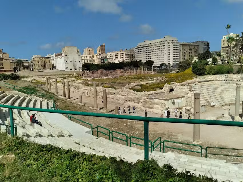 Tropical Tours and Travel