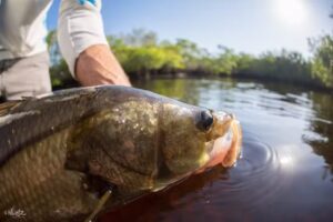 True Florida Expeditions