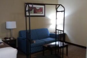 True North Travel, LLC