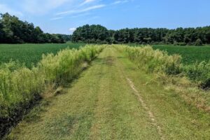 Tuckahoe State Park Office and Ranger Station