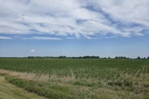 Tunica Convention & Visitors Bureau