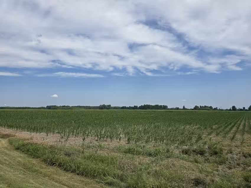 Tunica Convention & Visitors Bureau