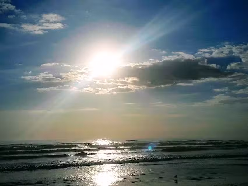 Turquoise Turtle Beach House