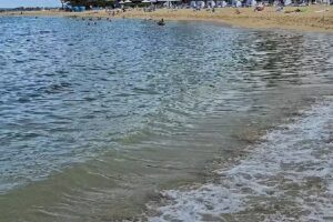 Turtle Bay Vacation Rentals