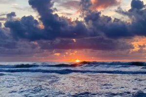 Turtle Club Vacations Travel Agency