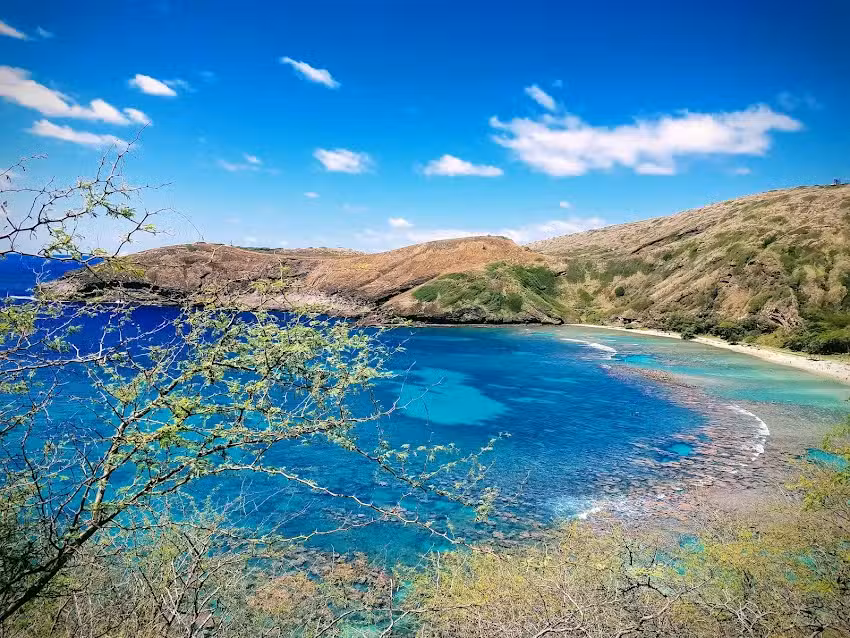 Turtle Travel Inc by Dream Vacations