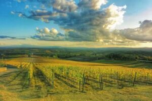 Tuscany Tours
