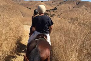 Twenty Nine Oaks Ranch