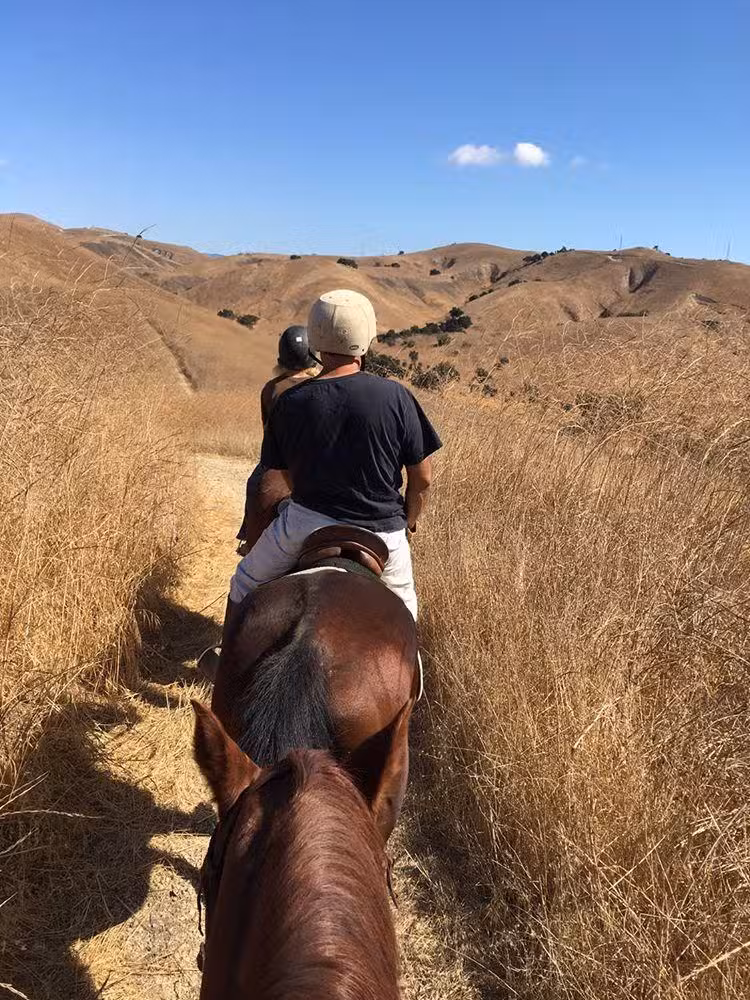 Twenty Nine Oaks Ranch