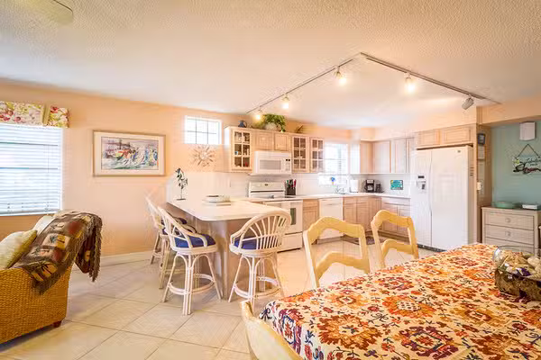 Twin Dolphins on Shelter Bay