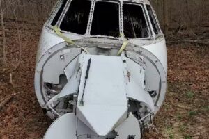 Twin Turret Farm & The Castle