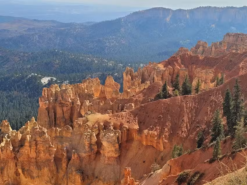 Twins Travel Service