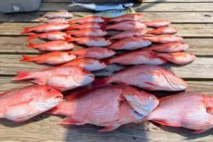 Twisted Palms Salty Adventures