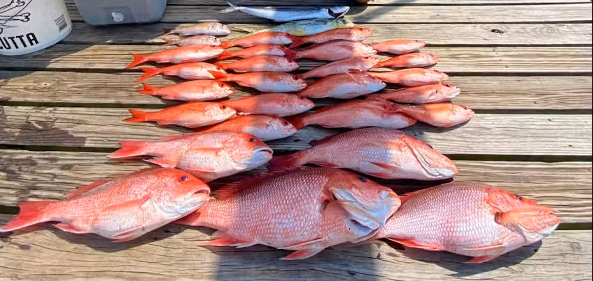 Twisted Palms Salty Adventures